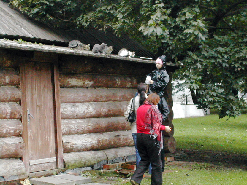 DSCN4922.JPG