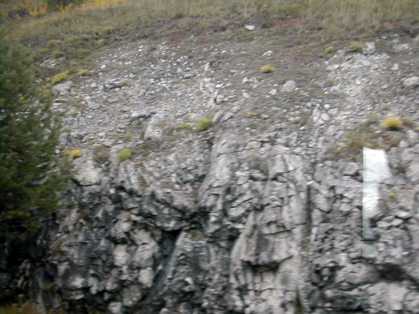 DSCN5108.JPG