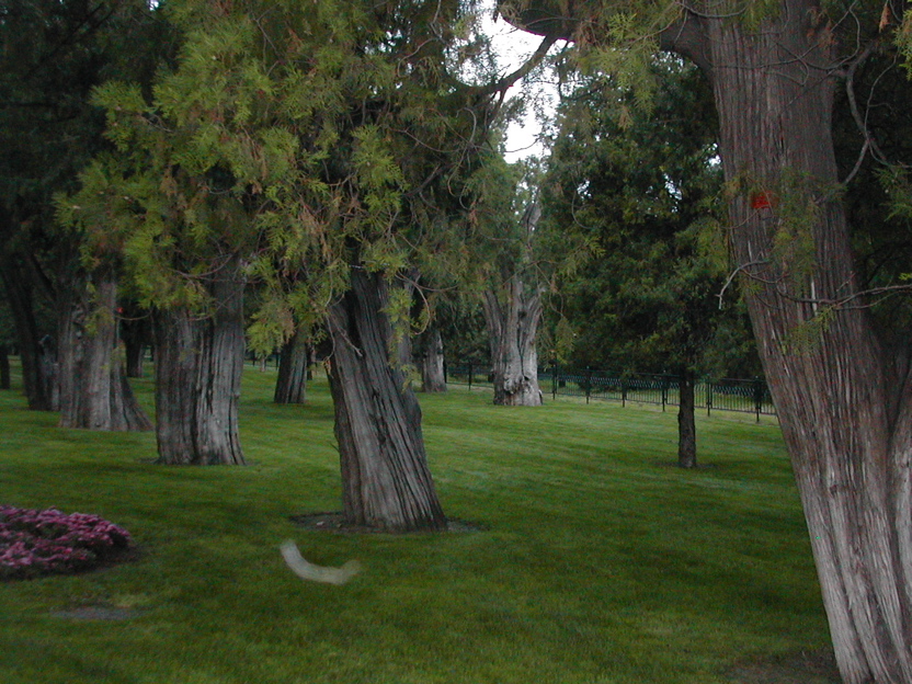 DSCN5405.JPG
