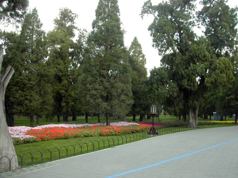 DSCN5406.JPG