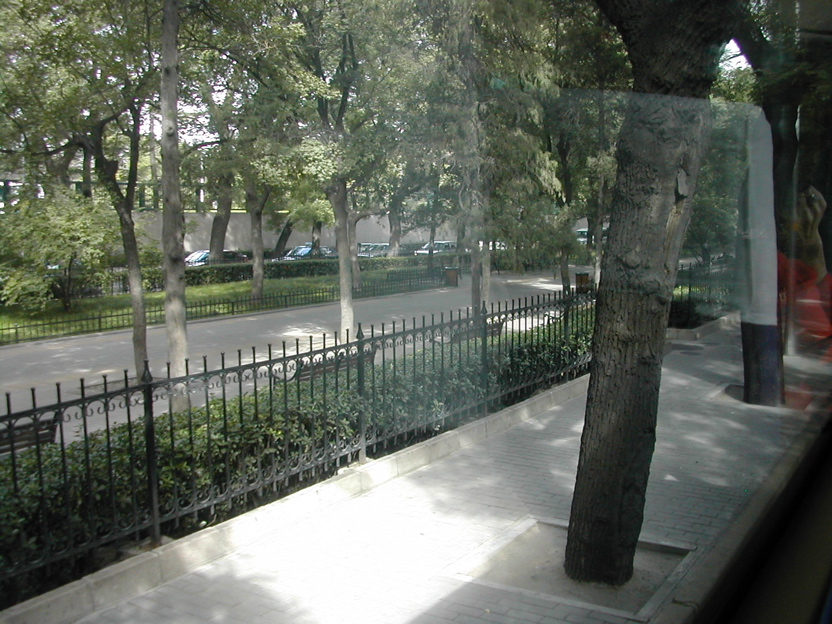 DSCN5416.JPG