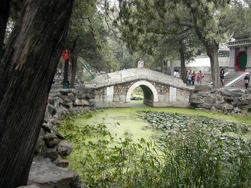 DSCN5567.JPG