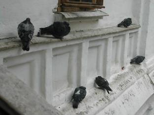 DSCN4911.JPG