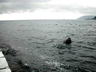 DSCN5065.JPG