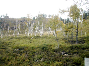 DSCN5107.JPG