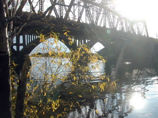 DSCN5138.JPG