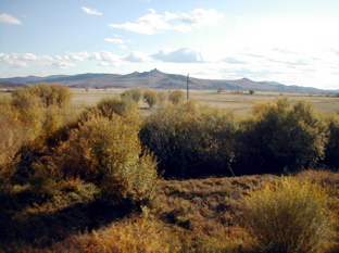DSCN5172.JPG