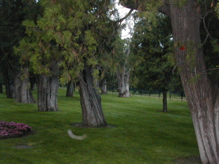 DSCN5405.JPG
