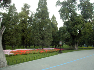 DSCN5406.JPG
