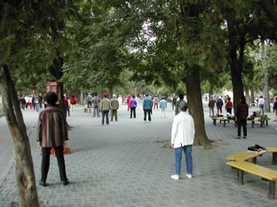 DSCN5408.JPG