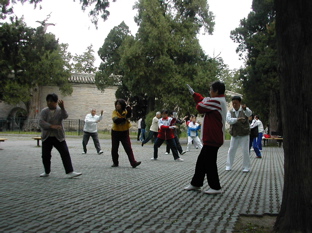 DSCN5411.JPG