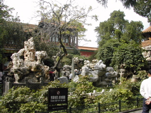 DSCN5439.JPG