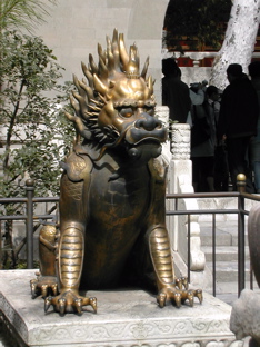 DSCN5440.JPG