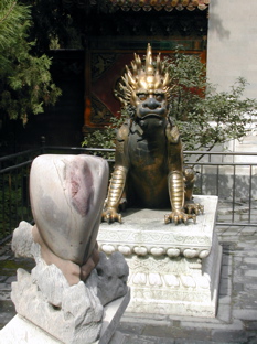 DSCN5441.JPG