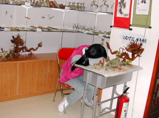 DSCN5445.JPG