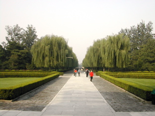 DSCN5493.JPG