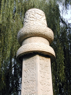 DSCN5496.JPG