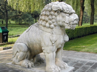 DSCN5497.JPG