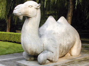 DSCN5500.JPG