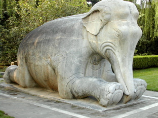 DSCN5501.JPG