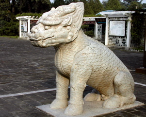 DSCN5502.JPG