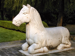DSCN5503.JPG