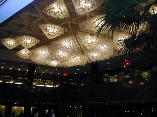 DSCN5538.JPG