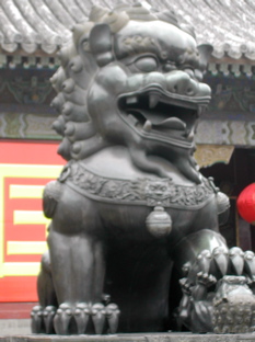 DSCN5558.JPG