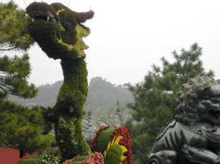 DSCN5559.JPG