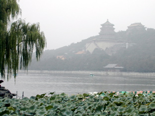 DSCN5566.JPG
