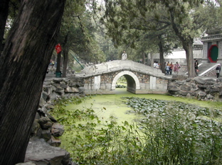 DSCN5567.JPG