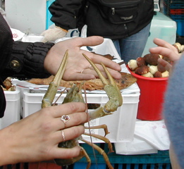 DSCN5000.JPG