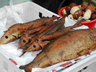 DSCN5002.JPG