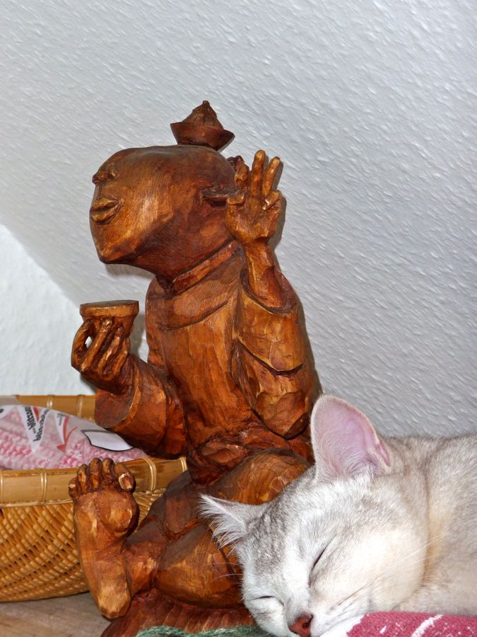 Schamane und K