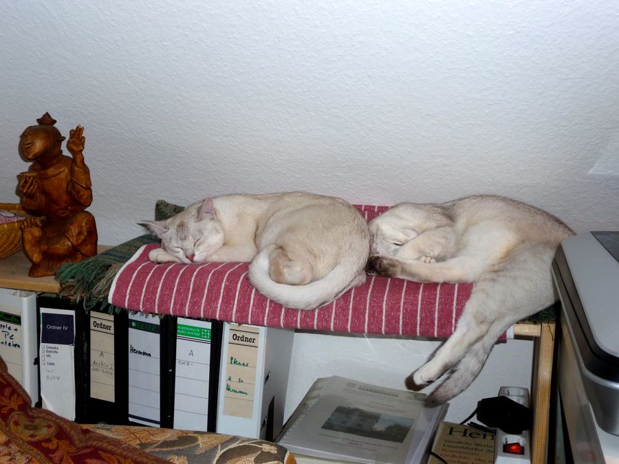 Schamane wacht