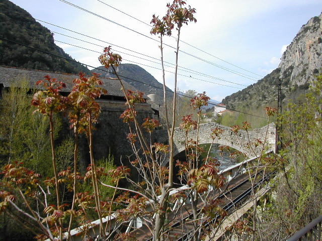 107_Brücke in aussi