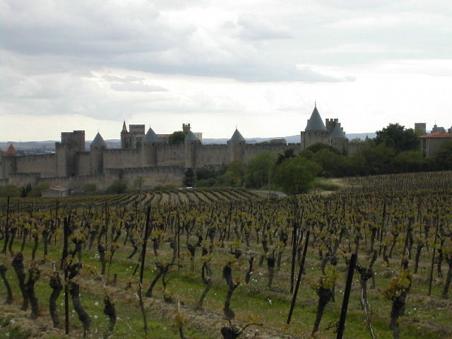 53_Mittelalter Weinberg