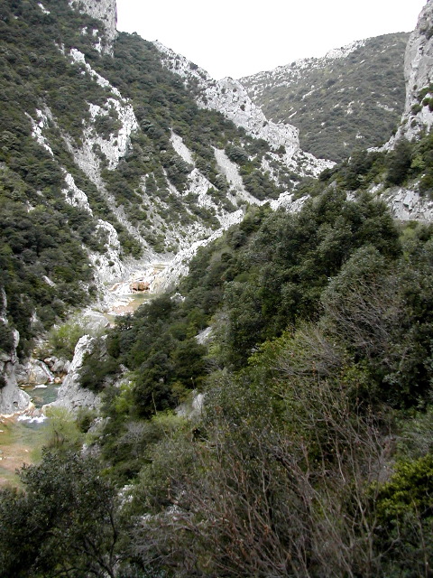66_Galamus