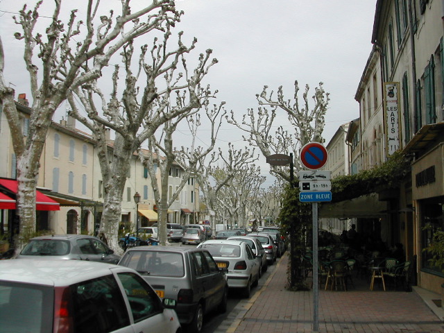 09_Plantanen in St. Remy