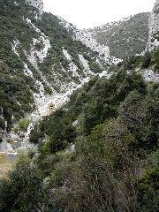 66_Galamus