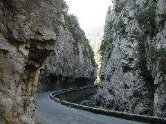 67_Galamus