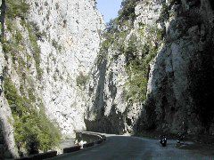 69_Galamus