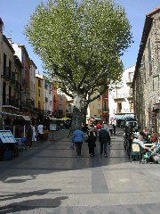 94_Altstadt von Collioure