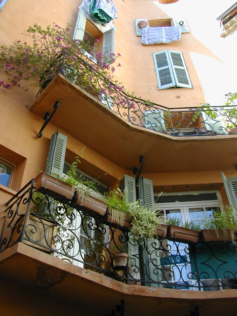 Grasse 7